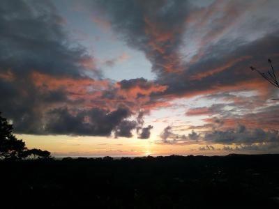Forest Lodge Uvita Zewnętrze zdjęcie