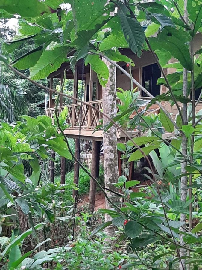 Forest Lodge Uvita Zewnętrze zdjęcie